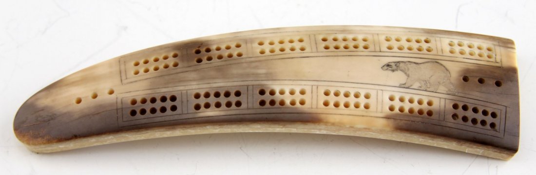 FOSSILIZED WALRUS TUSK CRIBBAGE BOARD: FOSSILIZED WALRUS TUSK CRIBBAGE BOARD Fossilized walrus tusk cribbage board with polar bear motif. Weight: 83.5g Size: 6"