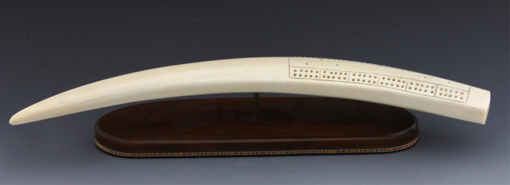 WALRUS TUSK CRIBBAGE BOARD ON WOODEN BASE: WALRUS TUSK CRIBBAGE BOARD ON WOODEN BASE Walrus tusk cribbage board with minimalist design of only the necessary markings for cribbage. Mounted on a brass peg to a sleek, wooden base. Size: 18 x 3" w
