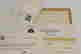 item-42819049=4
