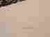 item-53043406=7