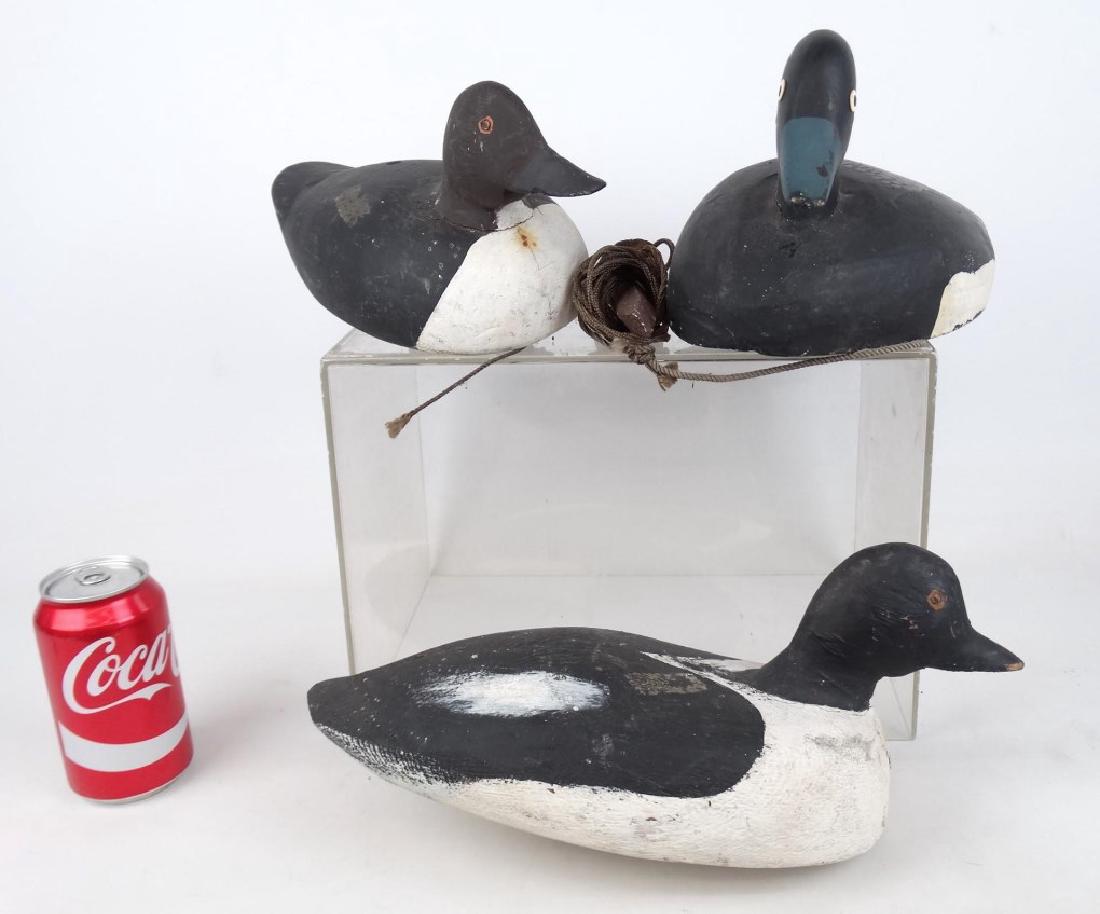 Nova Scotia Decoys (1 of 4)