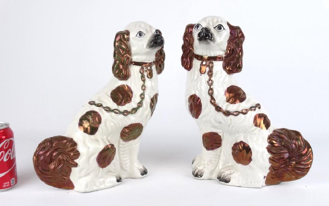 Staffordshire Spaniels (1 of 5)
