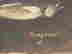 item-56008964=4