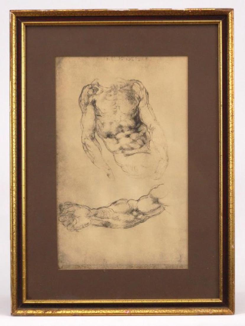 Charcoal Study (1 of 3)