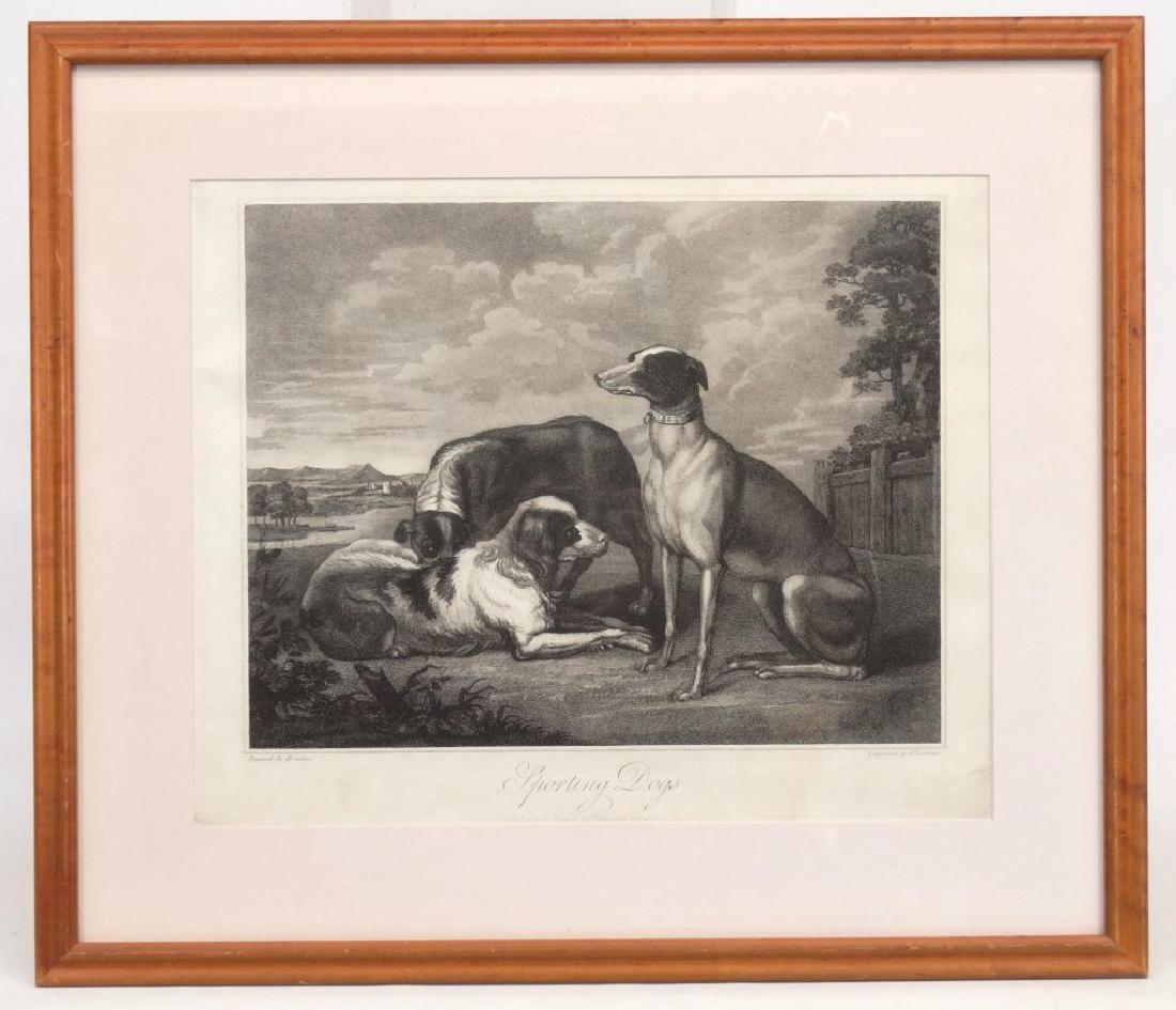 Sporting Dogs, English Print (1 of 7)