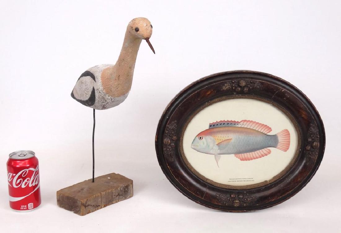 Shorebird & Print (1 of 5)