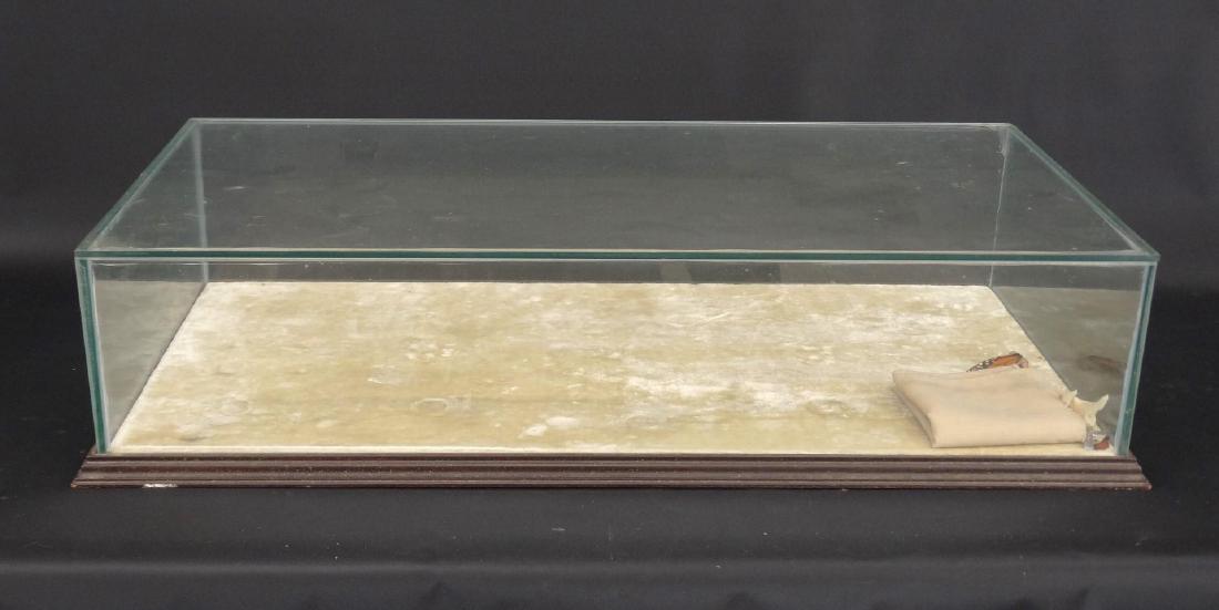 Glass Table Top Display Case (1 of 3)