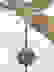 item-59597359=5