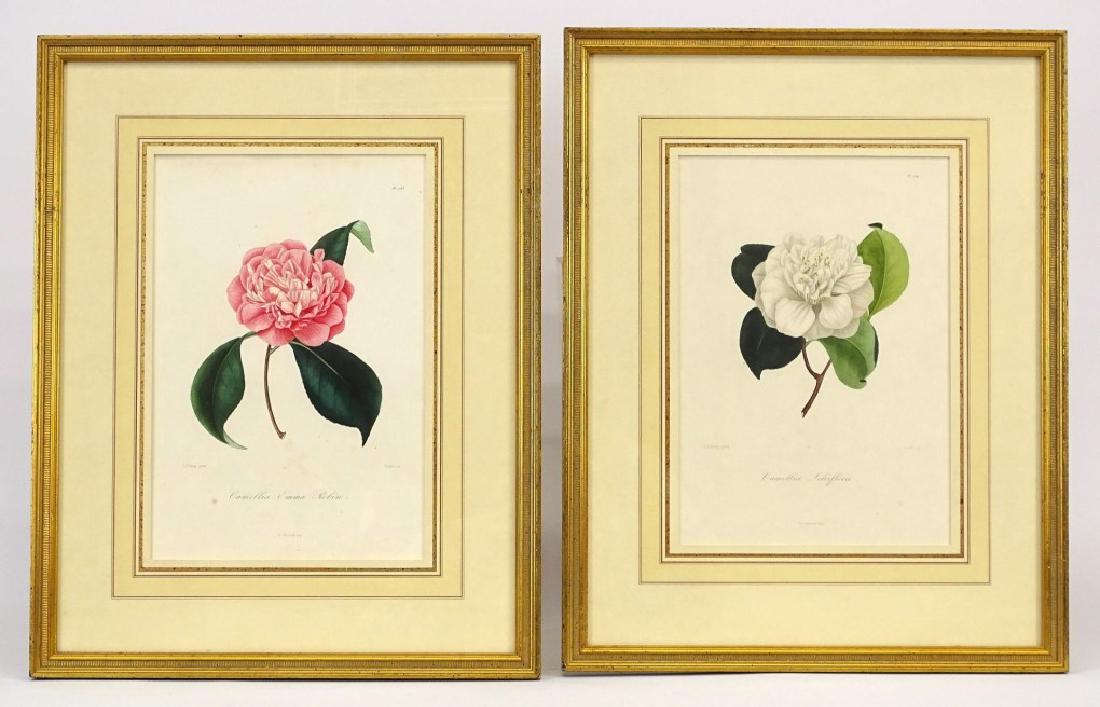 Pair Early Floral Prints (1 of 8)