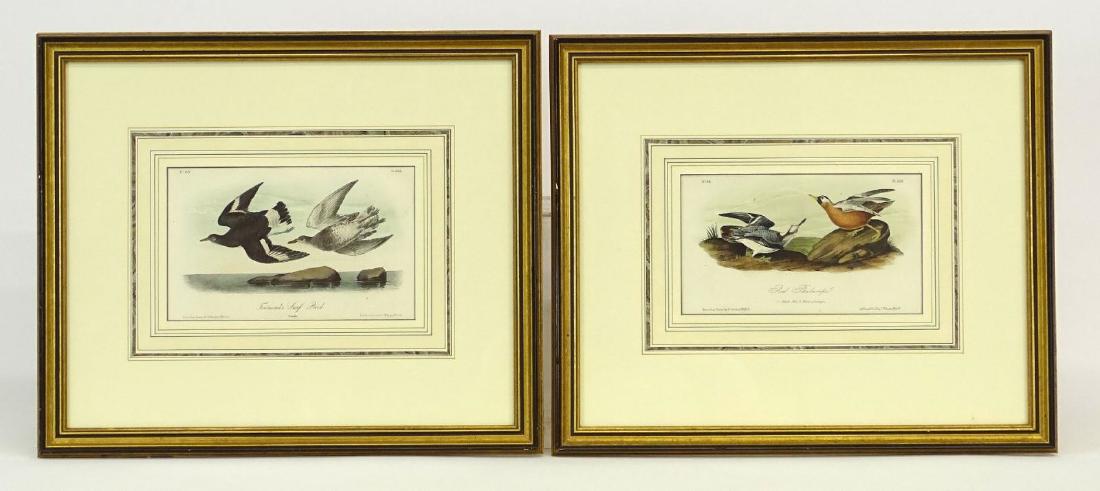 Pair Audubon Prints (1 of 9)