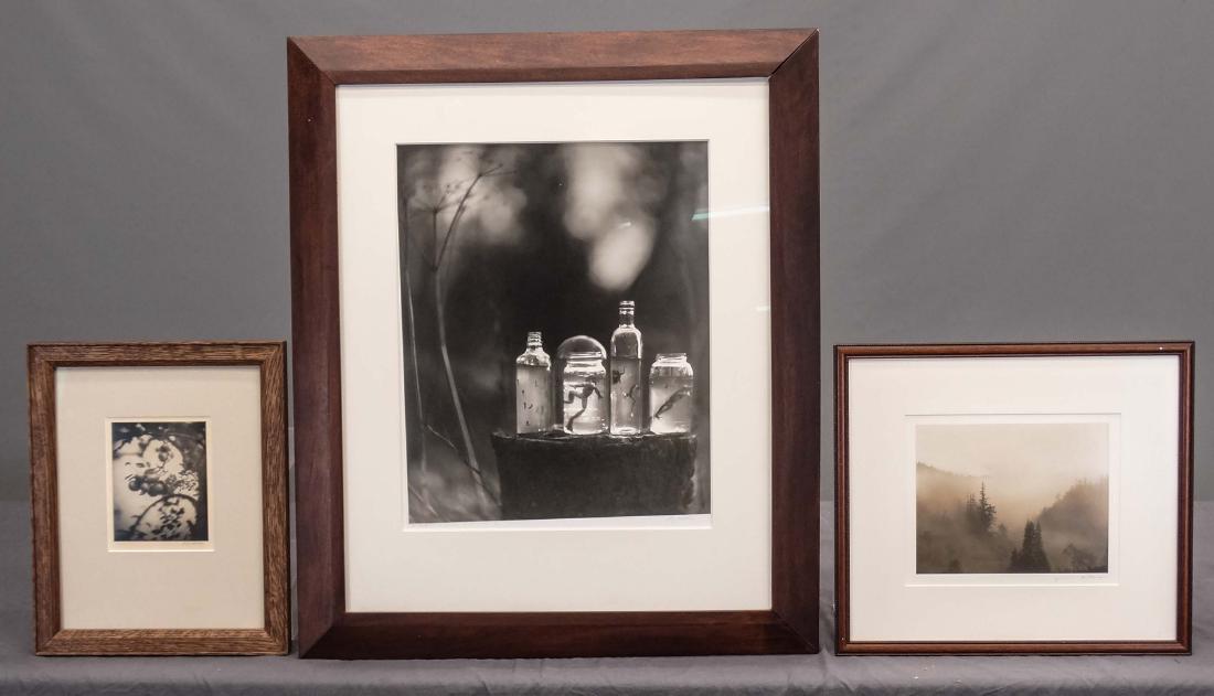 Photograph Lot: Lot (3) photographs. Includes Raymond Meeks "Pears" (sight 7" x 5 1/2"), unknown artist, mountain forest frog, toned silver print (sight 19 1/2" x 16"), and Raymond Meeks "An Imitation of Dance" (sigh