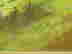 item-65032967=3