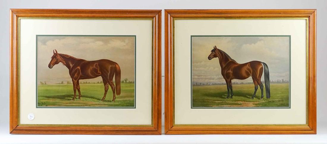 Pair Horse Prints (1 of 11)