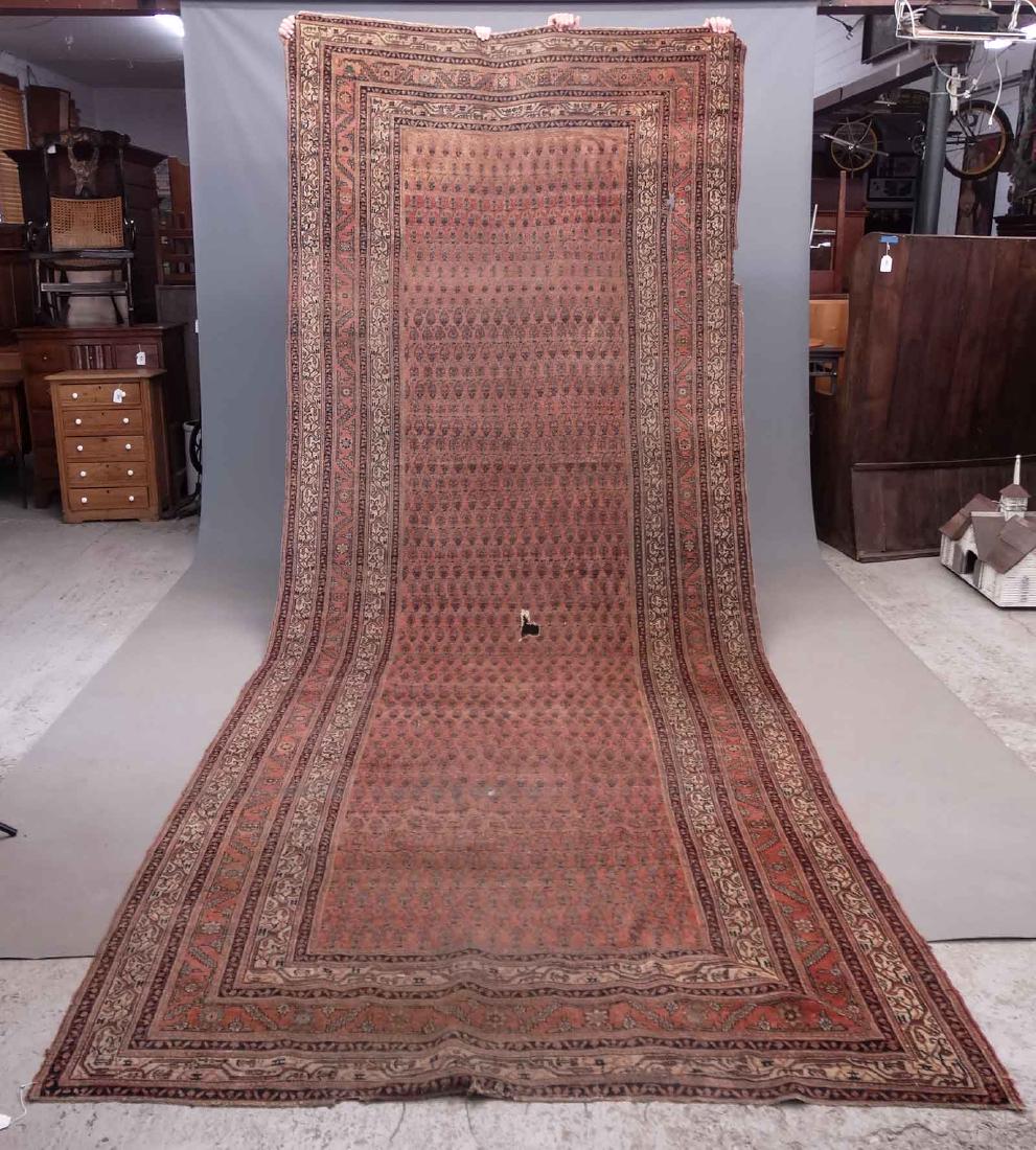 Oriental Rug (1 of 5)