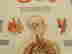 item-65033345=6