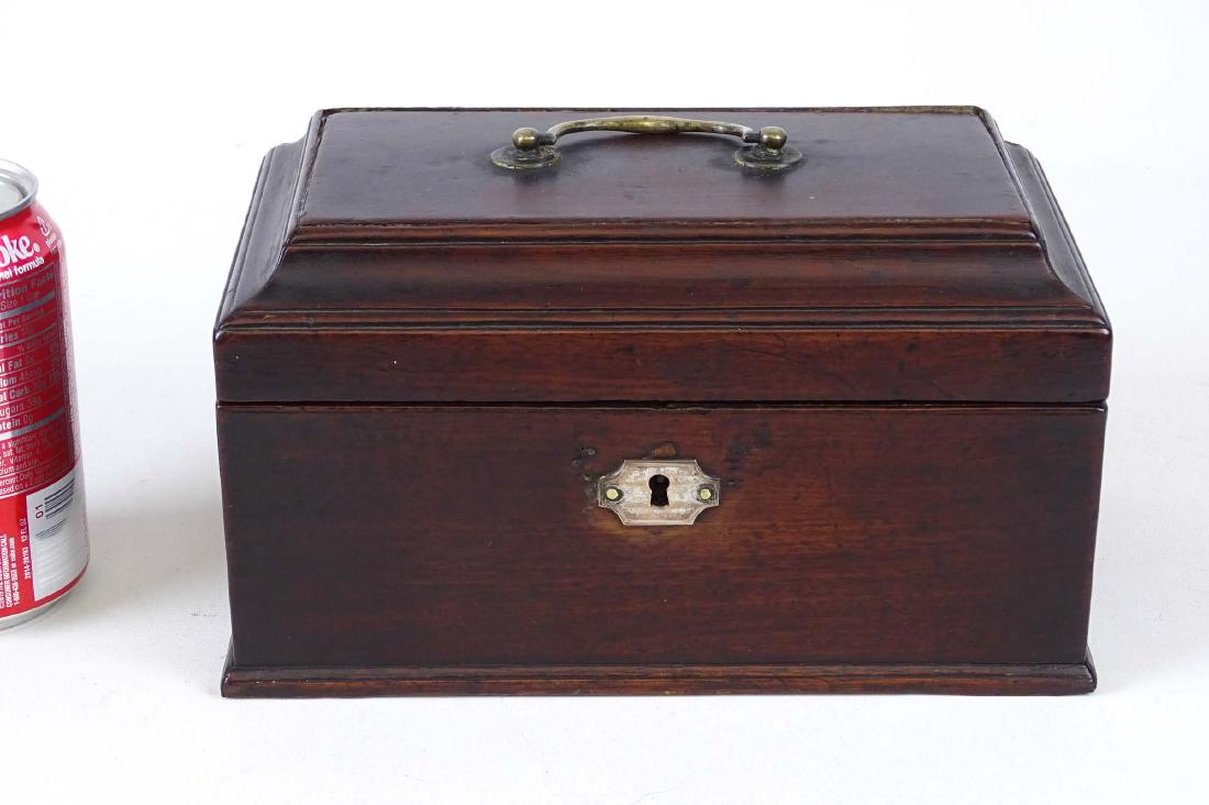 19th c. Mahogany Tea Caddy (1 of 4)