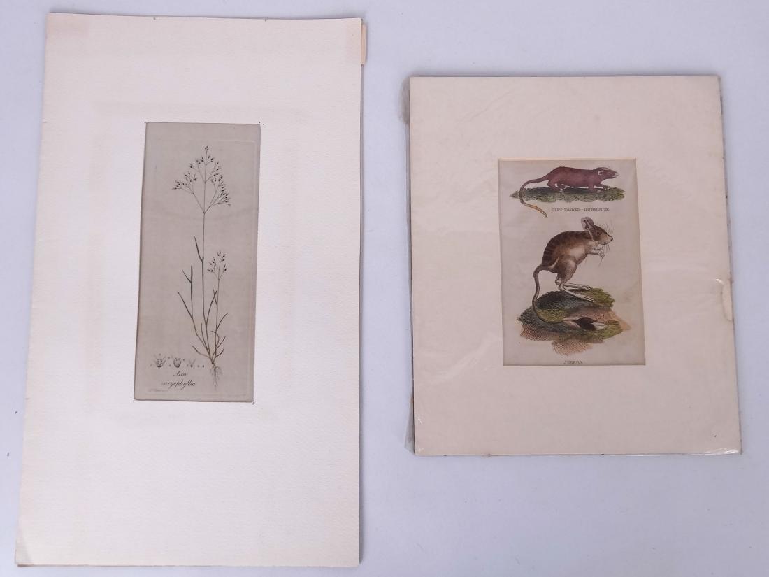 Artwork Lot (1 of 3)