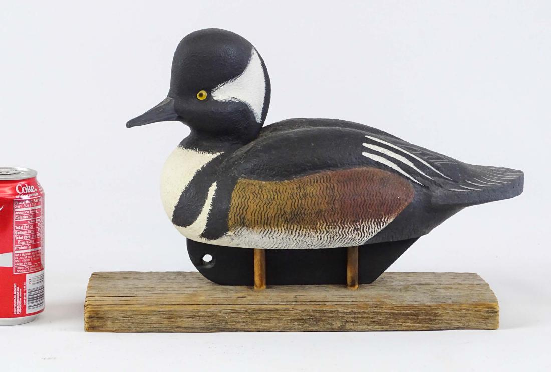 Duck Decoy (1 of 6)