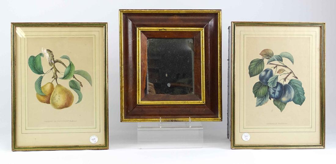 Botanical Prints & Mirror (1 of 7)