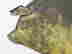 item-67572499=2