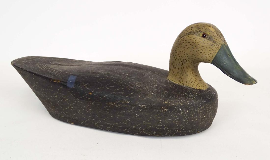 Duck Decoy (1 of 4)