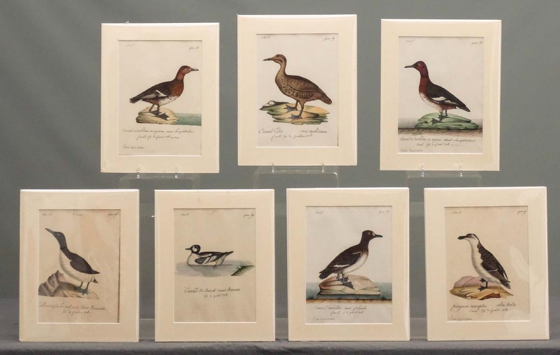 19th c. Book Illustrations (1 of 9)