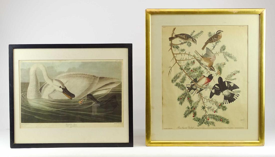 Audubon Prints (1 of 14)