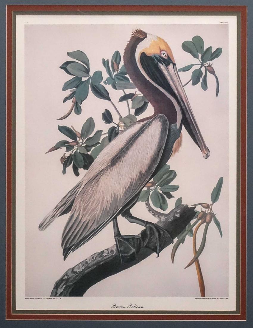 Audubon Print (1 of 6)
