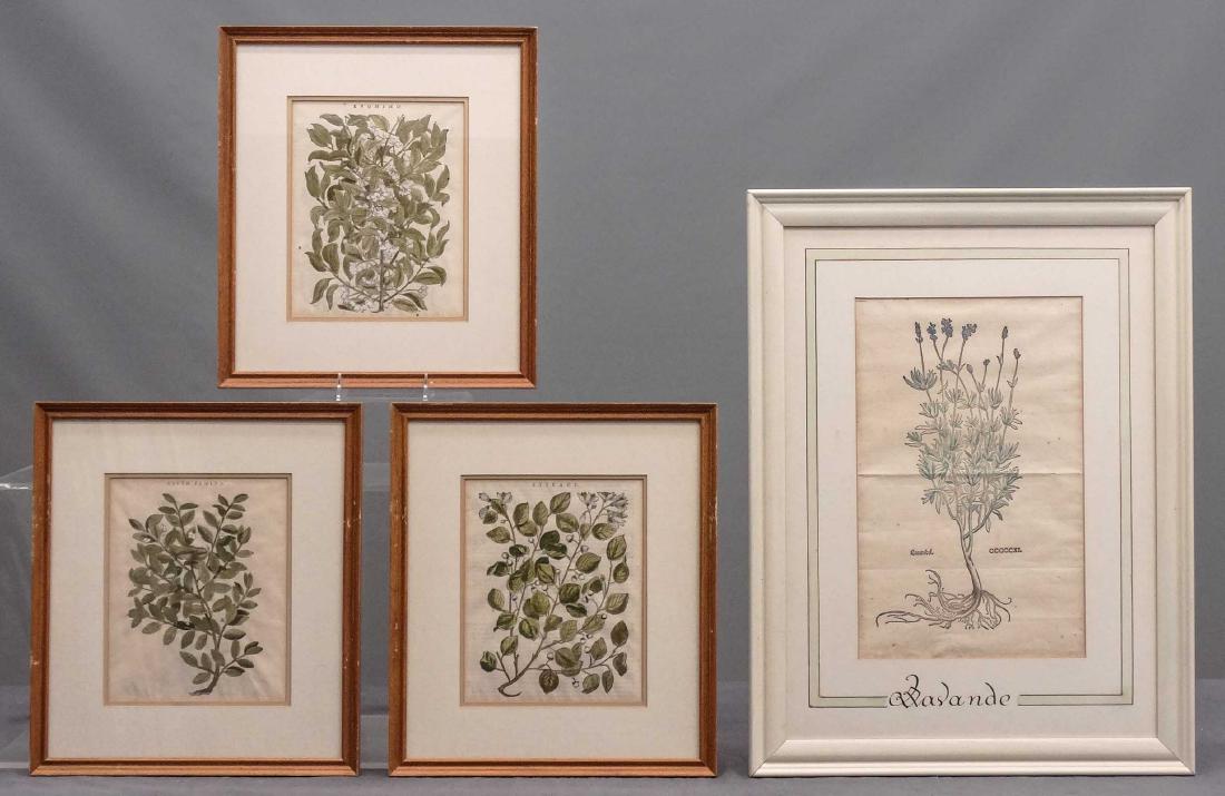 Floral Study Prints (1 of 5)