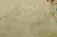 item-69851273=8