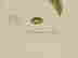 item-69851549=2