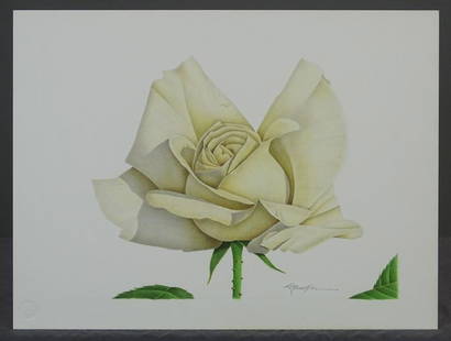 Richard Mueller Rose Drawing: Richard A. Mueller (1940-2010). Coronet Rose botanical colored pencil drawing. Signed LL