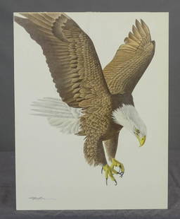 Richard Mueller Eagle Drawing: Richard A. Mueller (1940-2010). Marauder Bald Eagle bird colored pencil drawing. Signed LR. 18" x 14 1/2".