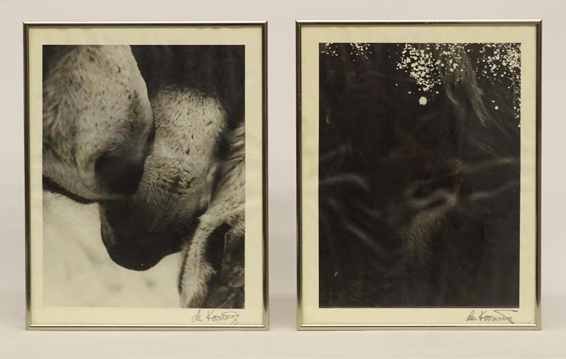 Willem De Kooning (1904-1997) (1 of 6)