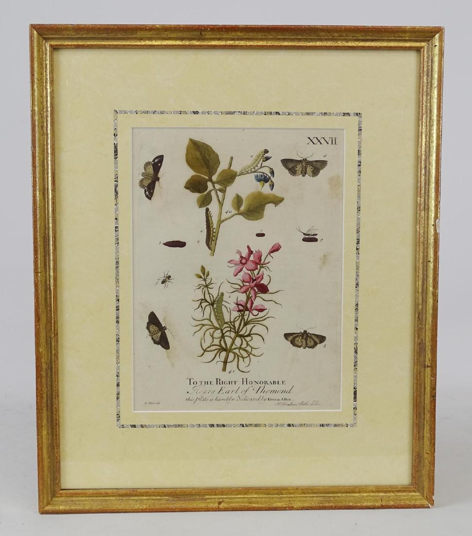 Early Floral Study Print (1 of 3)