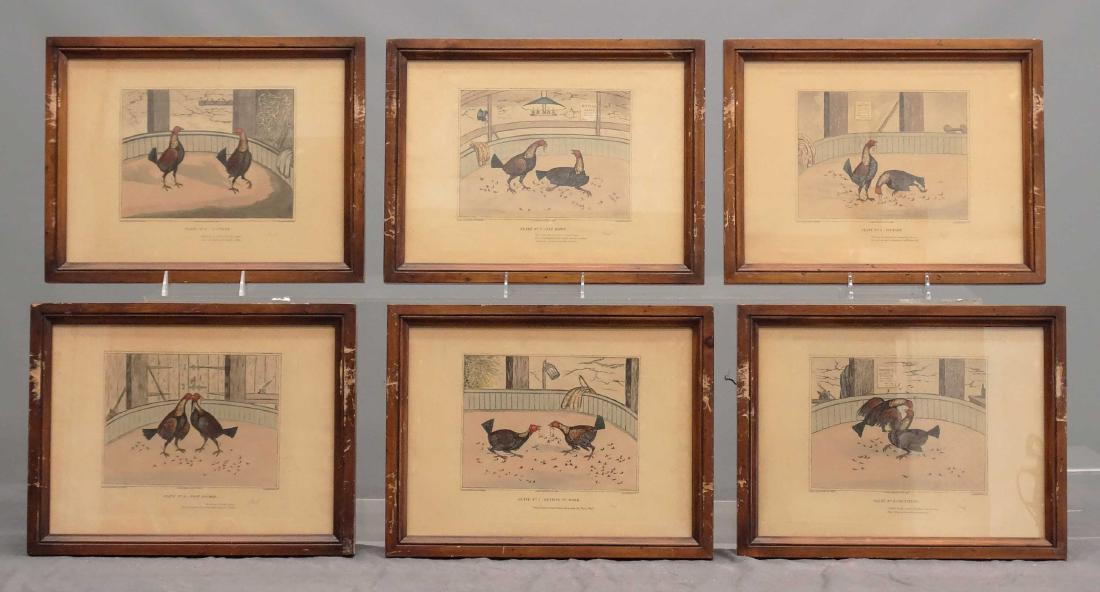 Cock Fighting Prints (1 of 13)