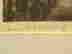 item-74786927=12