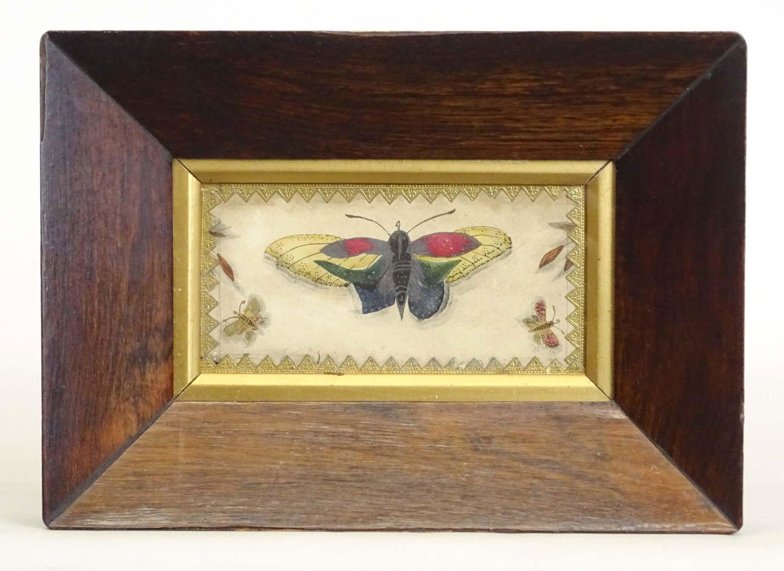 19th c. Watercolor Of Butterflies (1 of 3)