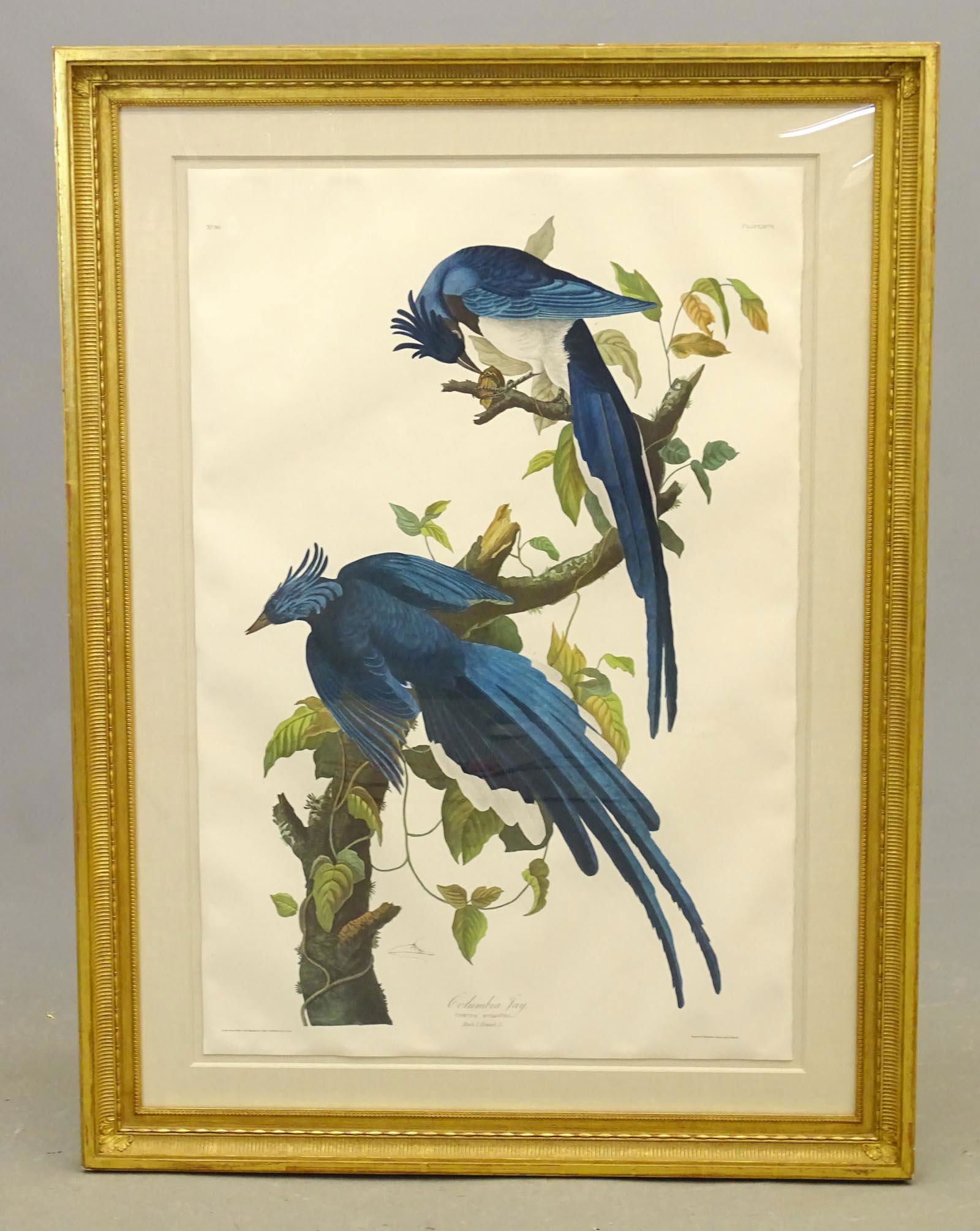 Audubon Print (1 of 6)