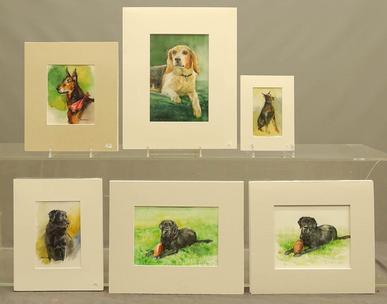 Susan Dorazio (20th Century) (1 of 8)