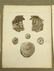 Napoleon Egypt Expedition Prints (6) - 6