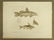 Napoleon Egypt Expedition Prints (6) - 7