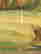item-79454605=3