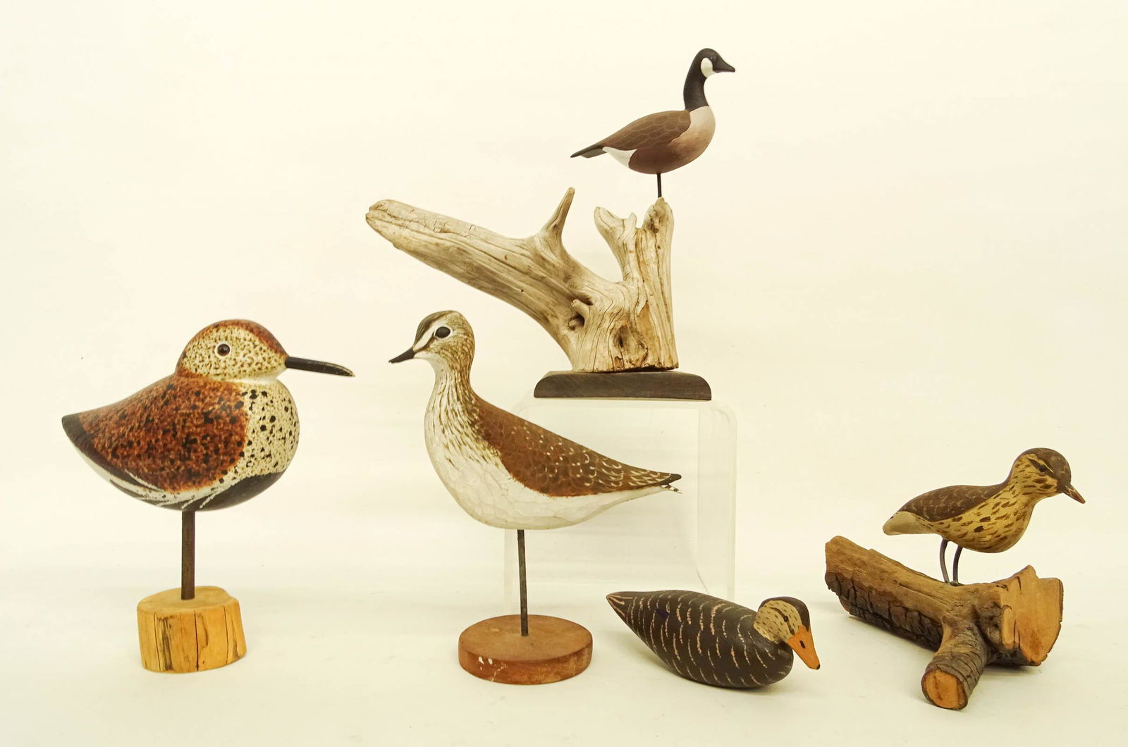 Bird Carvings: Lot (5) bird carvings including Ray & Amy Smith "Red Backed Sandpiper", Gary W. Daisey and more. Tallest 8 1/2" Ht..