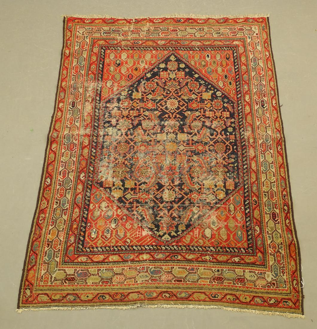 Oriental Rug (1 of 5)