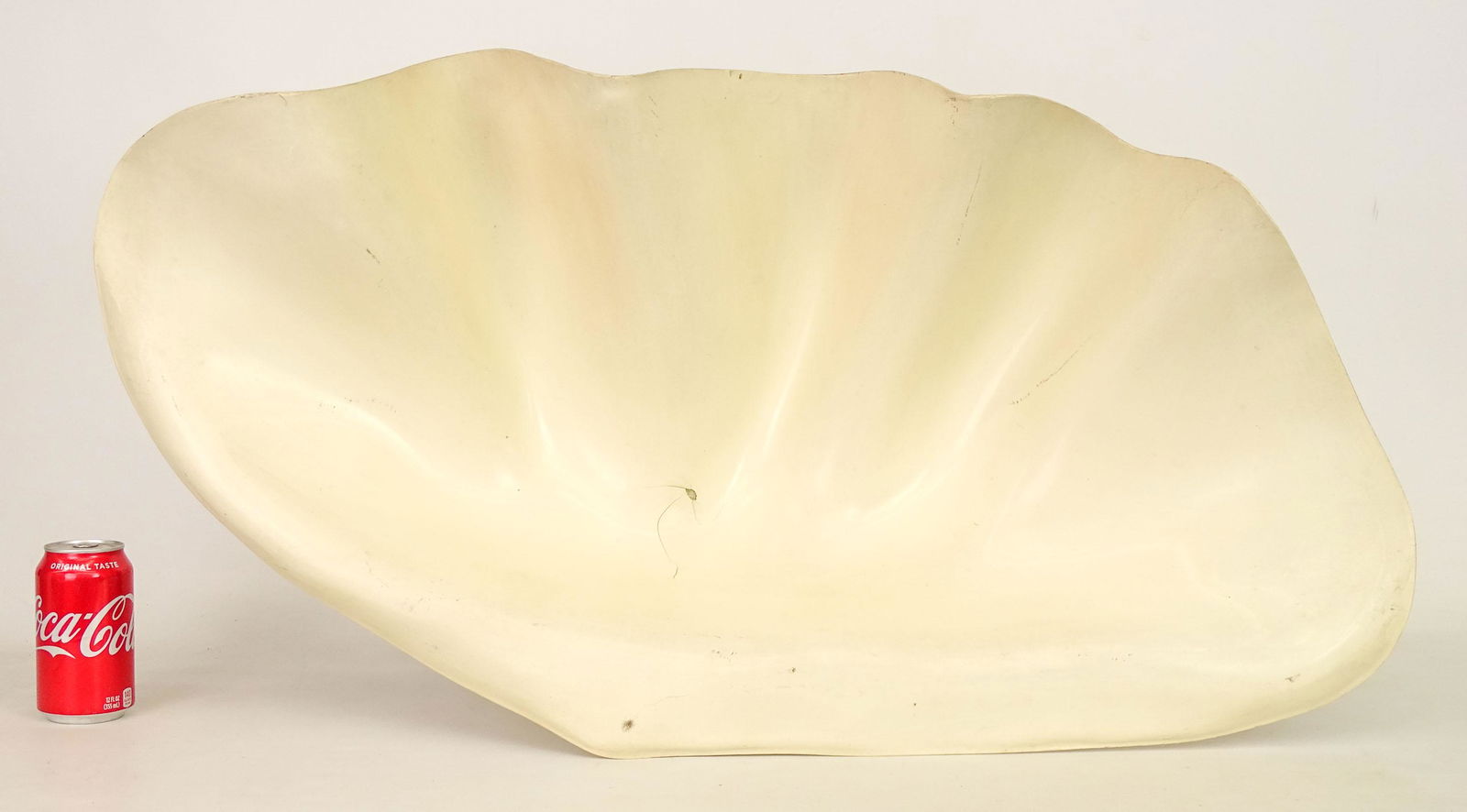 Mid Century Fiberglass Clamshell (1 of 5)