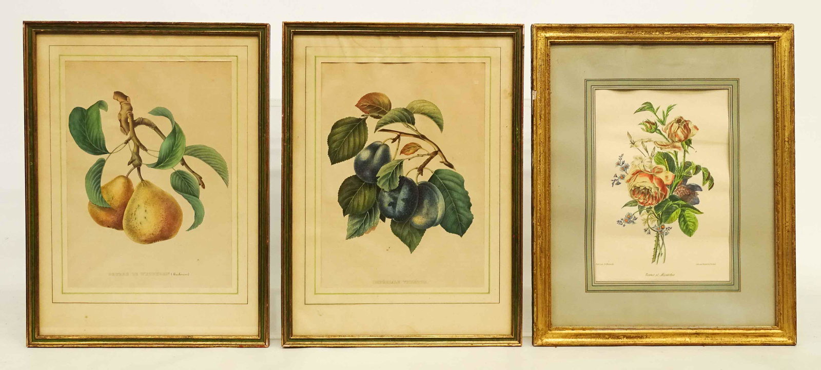 Botanical Prints (1 of 6)
