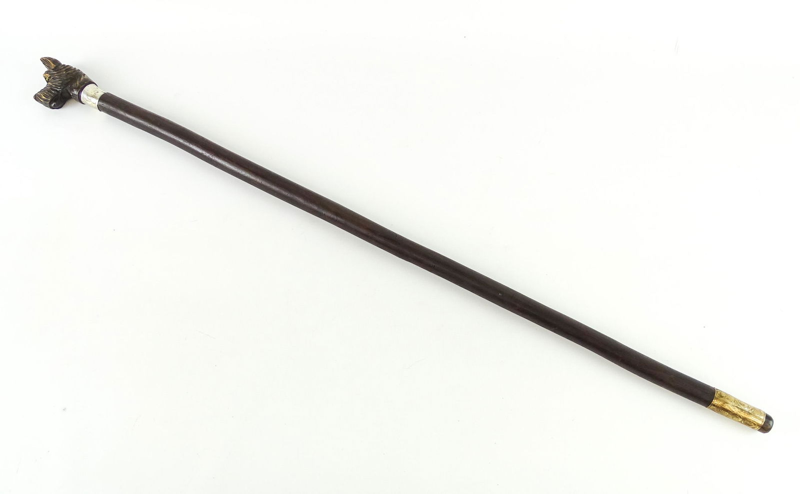 Walking Stick (1 of 5)