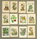 Bird and Botanical Antique Prints (12)