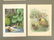 Bird and Botanical Antique Prints (12) - 4